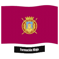 Region De Murcia Flag Sticker by Formación Ninja
