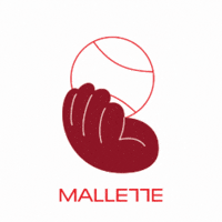 Savoirjongler GIF by Mallette