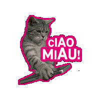 Cat Ciao Sticker by Deutsche Telekom