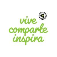 Boca Del Rio Run Sticker by triinox.ms