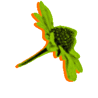 Festival Sticker by LOS40