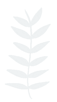 Leaf Boho Sticker