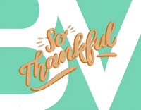 Thanksgiving GIF by BIGVISION