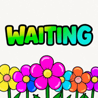 Hurry Up Hello GIF