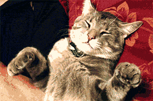 Video gif. A sleepy gray cat lies on his back with his paws in the air, resting peacefully.