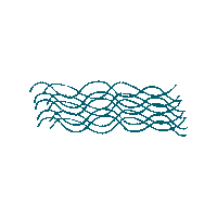Water Ocean Sticker
