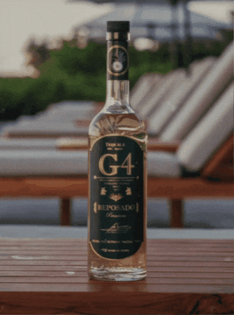 PKGD giphygifmaker bar cocktails tequila GIF