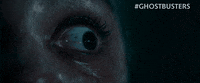 Stare Omg GIF by Sony Pictures Germany