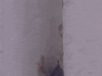 like a virgin madonna GIF