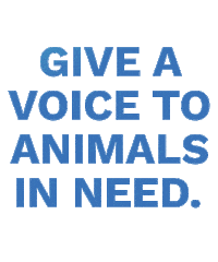 Rescue Pets Adopt Sticker by Nevada Humane Society