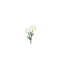 Flor Sticker by byflorecer