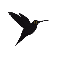 Humming Bird Gold Sticker by Nova Sound