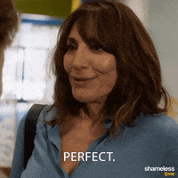 episode 8 showtime GIF by Shameless