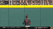 gostanford  GIF