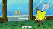 season 9 GIF by SpongeBob SquarePants