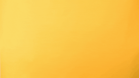 Los Angeles Sport GIF by Cal State LA Golden Eagles