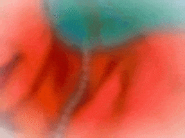 Vintage GIF by jorgemariozuleta
