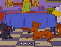 homer simpson dog GIF