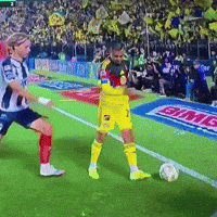 Rayados GIF