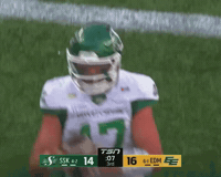 Touchdown Celebrate GIF