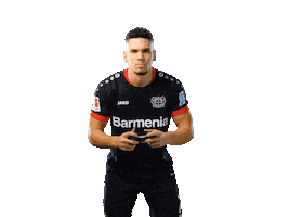 Bayer 04 Werkself Sticker by Bayer 04 Leverkusen