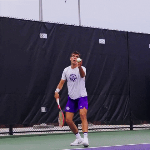 College Sports Sport GIF by LSU Tigers