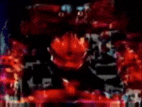 Bunny Simulation GIF