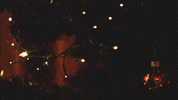 christmas tree GIF