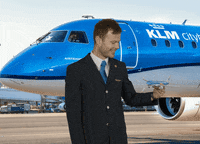 Flying Cabin Crew GIF by KLM