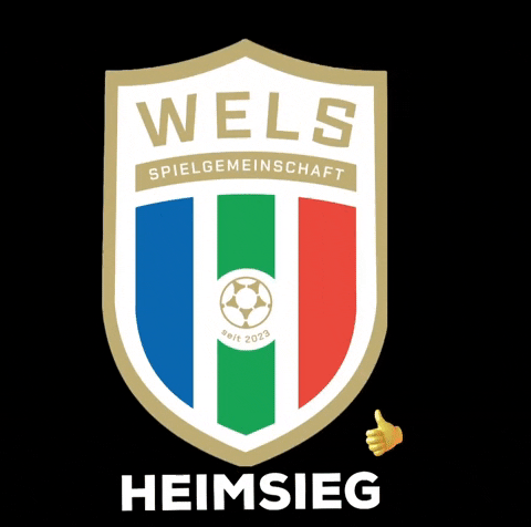Heimsieg GIF by SPG WSC Hogo Hertha Wels
