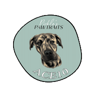 Sticker by Pickle's Pawtraits