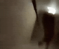 Tuff Niche GIF