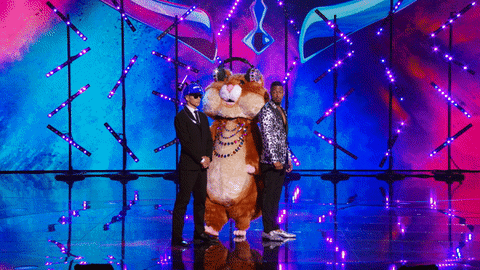 Season 6 Mask GIF by The Masked Singer