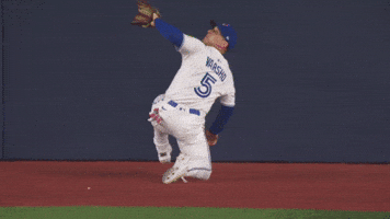 Blue Jays Wow GIF by MLB