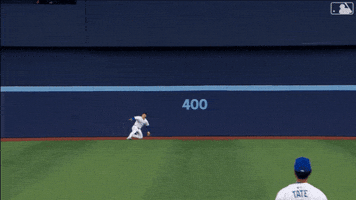 Blue Jays Baseball GIF by Toronto Blue Jays