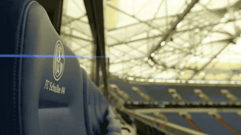veltins arena football GIF by Bundesliga