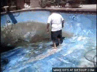 dammit GIF