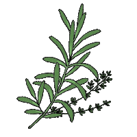 Italian Cooking Sticker by DilleKamille