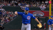 Celebration Mlb GIF by Marquee Sports Network
