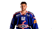 Sport Celebration Sticker by EHC Kloten