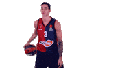 liga endesa luca Sticker by BASKONIA