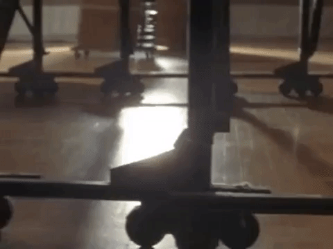 the mystery files of shelby woo nicksplat GIF