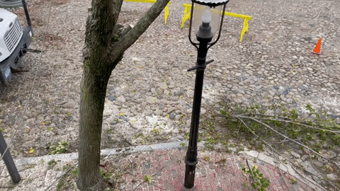 GIF by Fisher Nantucket