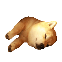 wake up sleep STICKER by imoji