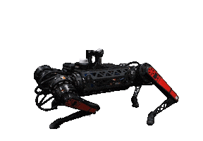 Big Dog Sticker by AKINSOFT