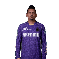 Kolkata Knight Riders Ipl Sticker by Knight Riders Sports