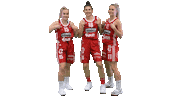 Basketball Hoops Sticker by Basket_fi