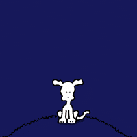 GIF by Chippy the Dog