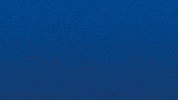 Bourg En Bresse Win GIF by Football Bourg-en-Bresse Péronnas 01