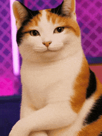 Chewy GIF